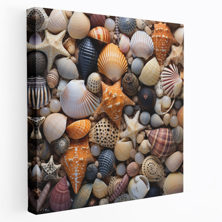Leinwandbild mit Nahaufnahme von Muscheln - Strand Schönheit Wanddekoration