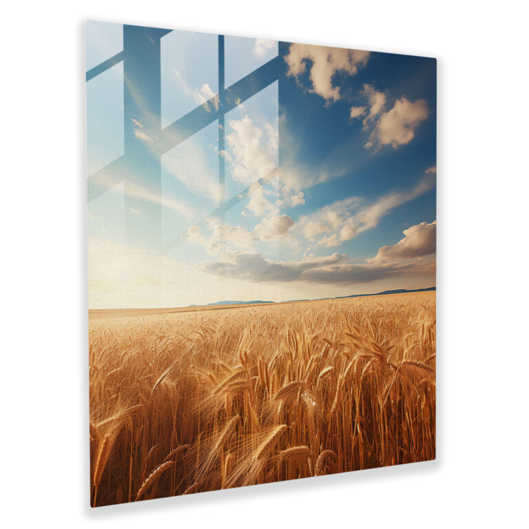 Weizenfeld Glasbild in Beige - Modernes Kunstwerk für die Wandgestaltung