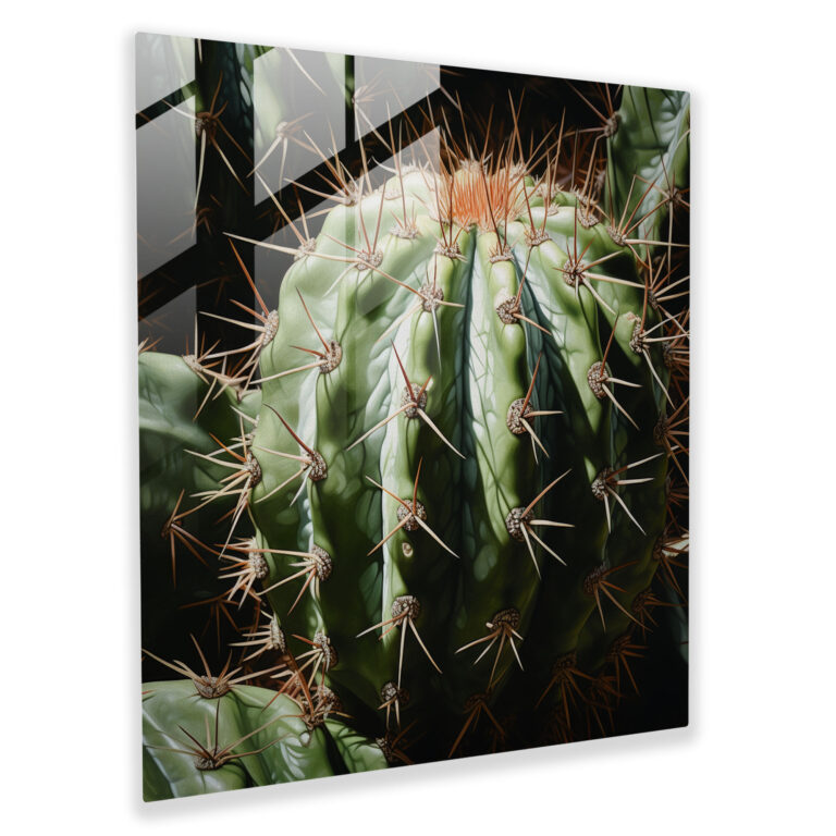 Realistisches Kaktus Glasbild - Kaktus Glasbild Moderne Kunst Subtile Schatten