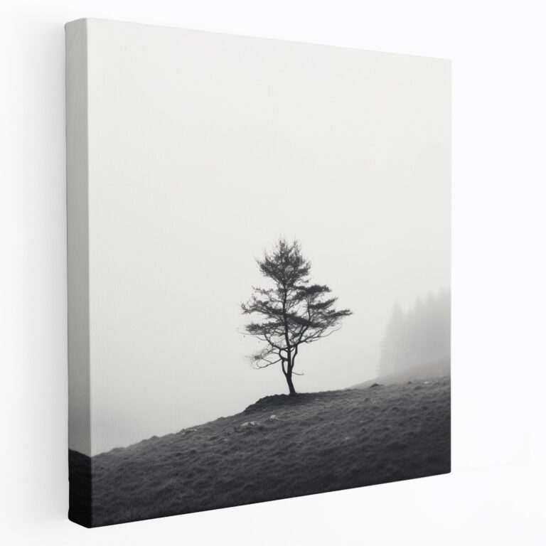 Trendiges Leinwandbild - Minimalistischer Wald - Schwarzes und weißes Fotokunstwerk Wanddekoration
