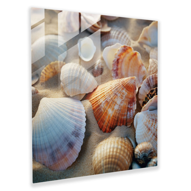 Glasbild Küstenschätze - Für Badezimmer moderne Kunst Wohnkultur Wanddekoration