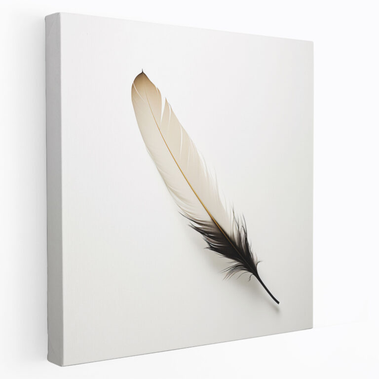 Leinwandbild Minimalistische Feder - Feinste Feder auf Leinwand