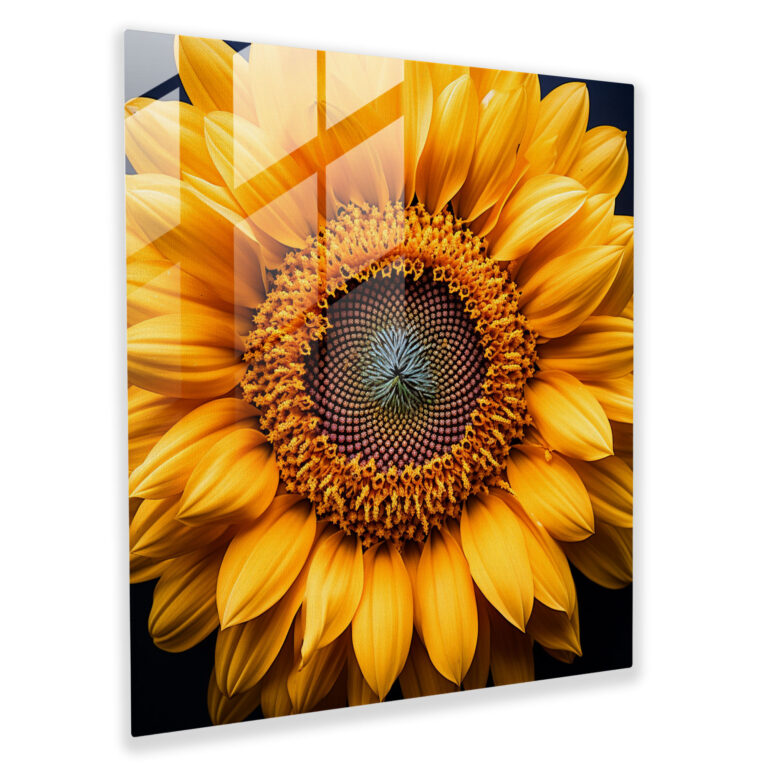 Strahlendes Glasbild - Lebendige Sonnenblume aus der Nähe mit zeitgenössischer Fotografie
