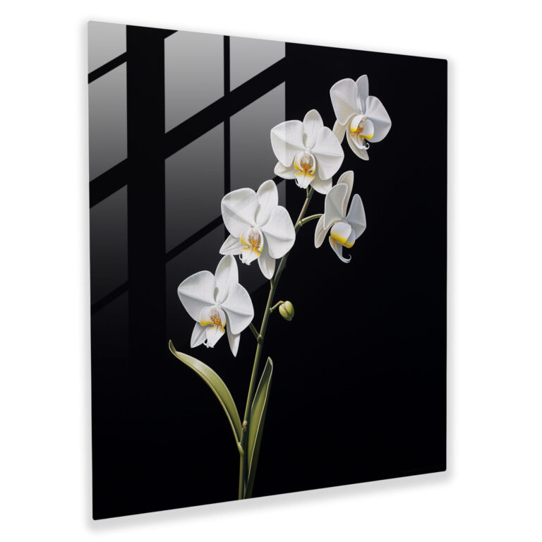 Edles Glasbild - Minimalistische weiße Orchidee mit zeitgenössischer Kunst