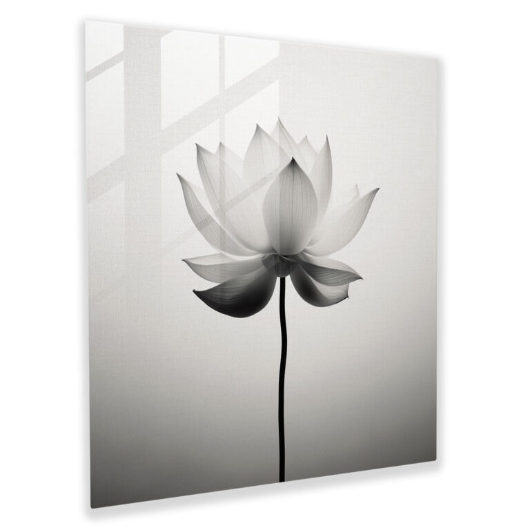 Edles monochromes Lotusblumen Glasbild