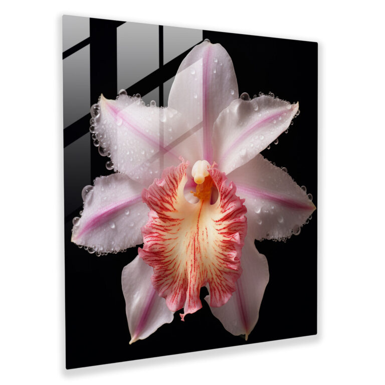 Glasbild Verzauberte Blüten - Auffällige Orchideen Wanddekoration