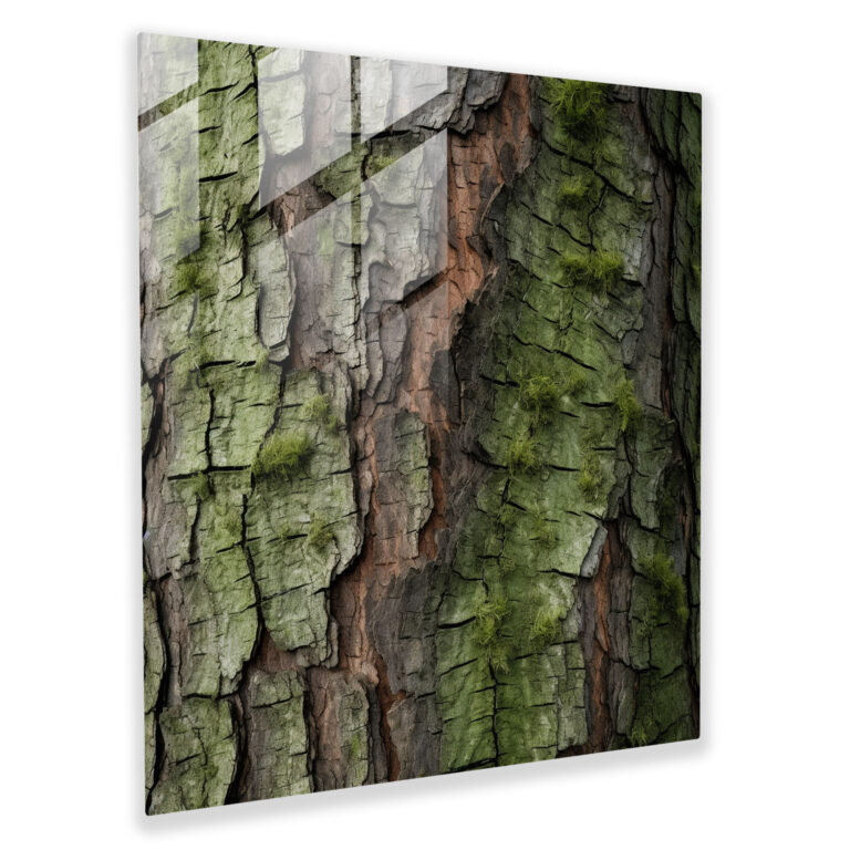 Lebendiges Kiefernbaum Glasbild - Grüne Kiefer Baumrinde Moderne Kunst Realistische Fotografie