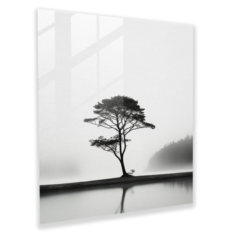 Glasbild Oase in Grau - Wanddekoration Schwarz-Weiß-Fotografie Glas-Kunst