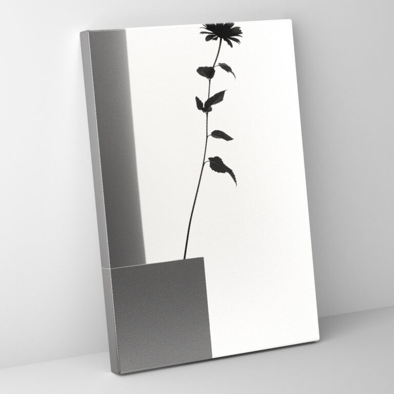 Wanddekoration Los Muertos - Lebenszyklus Leinwandbild Ringelblume