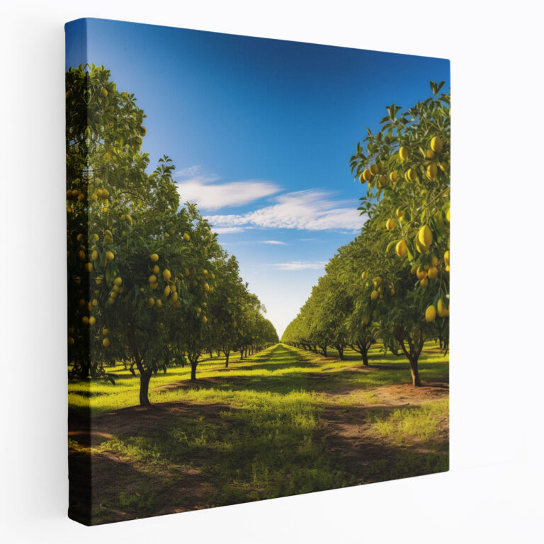 Leinwandbild Zitronenbaum - Zitronenbaum Wanddekoration Wohnkultur