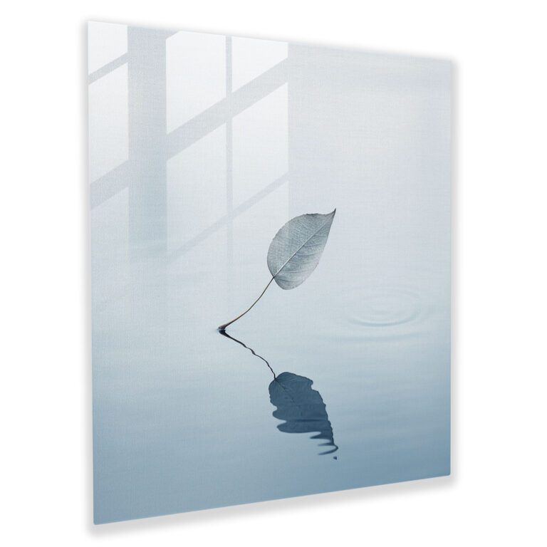 Blätter Dekoration - Minimalistische Fotografie Modern Art Blätter