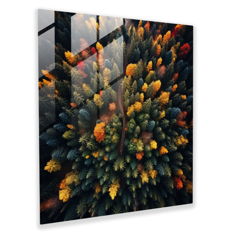 Aerial Leaves Glasbild - Wald Blätter Natur
