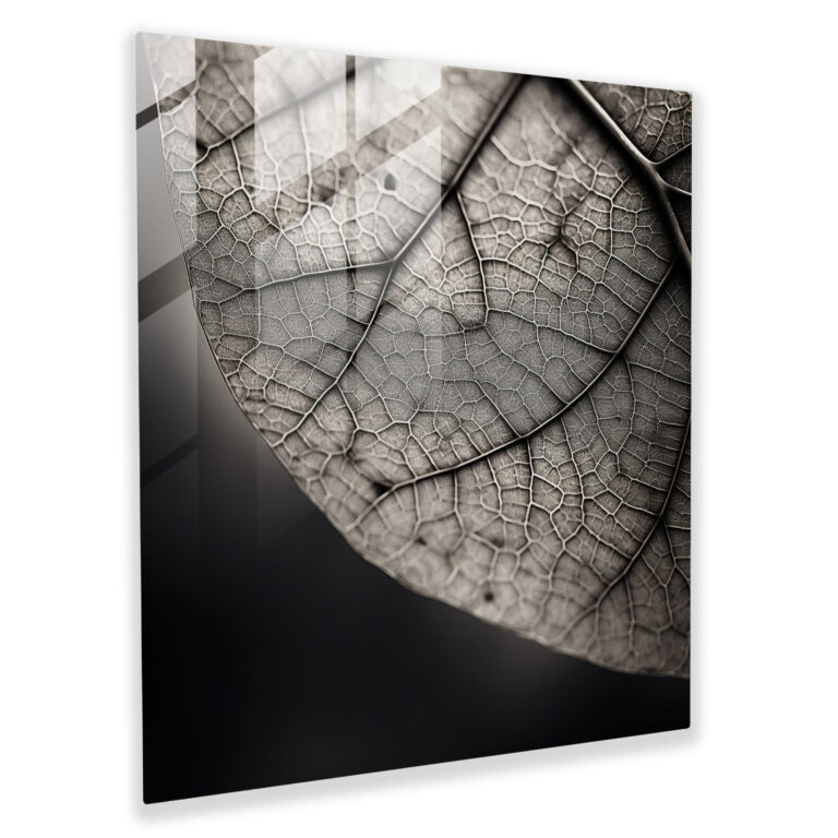 Feingliedriges Blattglasbild - Blätter Glaswandkunst minimalistische Fotografie moderne Kunst