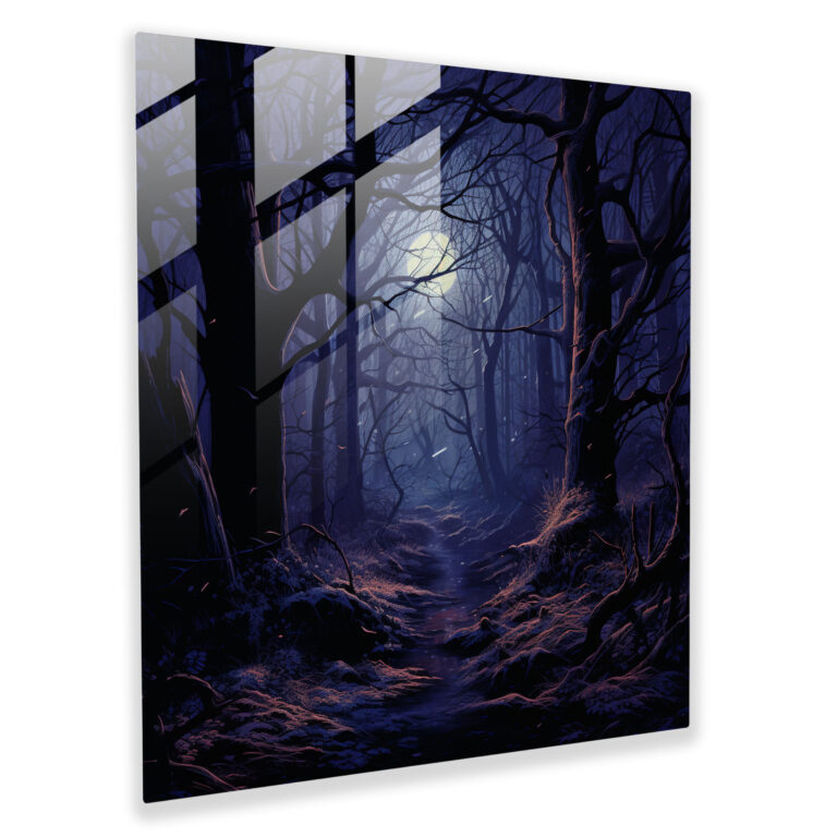Glasbild Mitternachtswald - Modernes Glasbild mit Waldmotiv