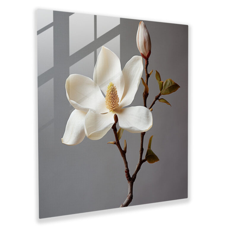Magnolie Glasbild - Zarte Schönheit - Realistische Fotografie Wohnkultur Glas Kunst