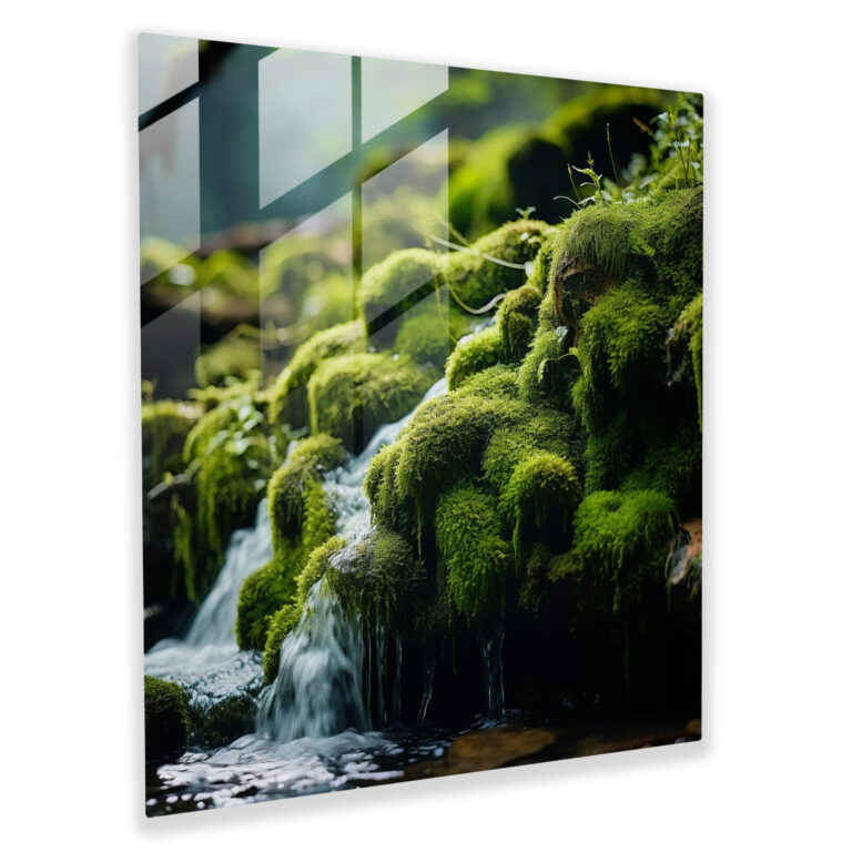 Meditatives Moos Glasbild - Moos Natürliche Ruhe Moderne Kunst Glasdesign