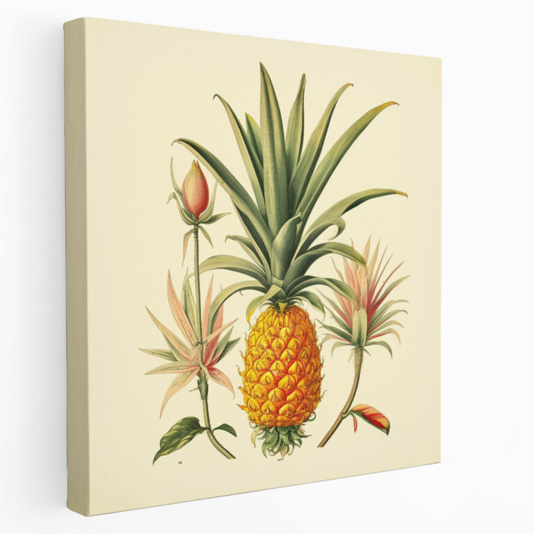 Pineapple Leinwandbild - Vintage Botanische Illustration Zeitlose Anziehungskraft