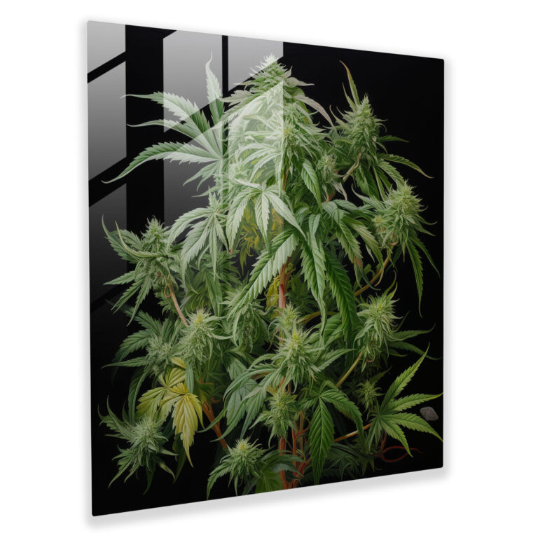 Glasbild Botanical Bliss - Weed Glasbild Moderne Kunst Glaskunst
