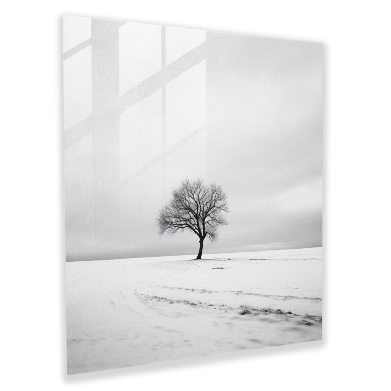 Cool Solitude Glass Print - Cool, Black And White, Home Decoration, Minimalist Photography