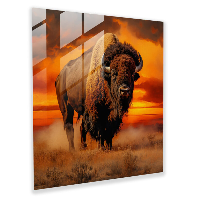 Tranquil Sunset Buffalo Glass Print - Buffalo, Glass Wall Art, Sunset, Modern Art
