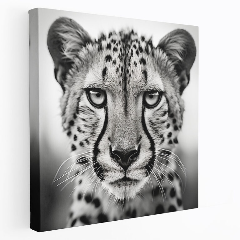 Cheetah Canvas Print - Black And White Photography Wall Art - Cheetah, Cheetah, Black And White Photography, Canvas Wall Art