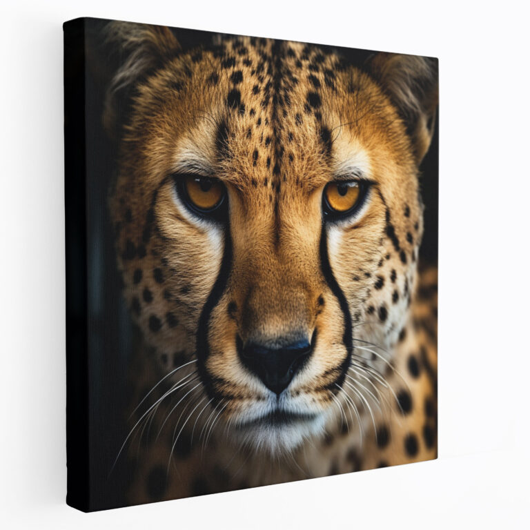 Cheetah Wall Art - Intense Cheetah Canvas Print - Cheetah, Fierce Gaze, Home Decoration, Canvas