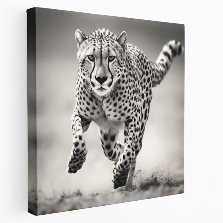 Cheetah Canvas Print - Black And White Cheetah Wall Art - Cheetah, Canvas, Cheetah Canvas Print, Home Decoration