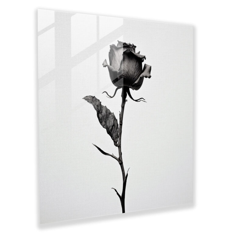 Dry Flower Glass Wall Art - Dry Flower, Wall Decoration, Photograph, Dry Flower