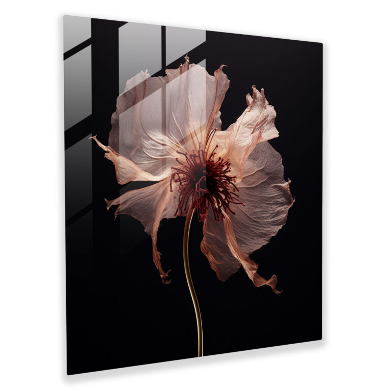 Intricate Dry Flower Glass Print - Dry Flower, Dry Flower, Home Decoration, Glass Print