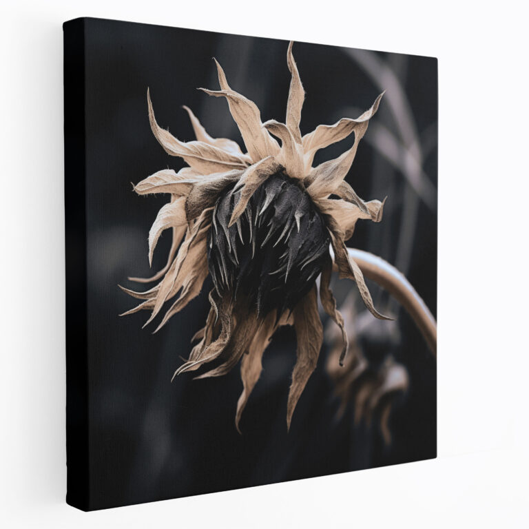 Monochrome Dry Flower Wall Art - Dry Flower, Canvas, Wall Art, Canvas Wall Art