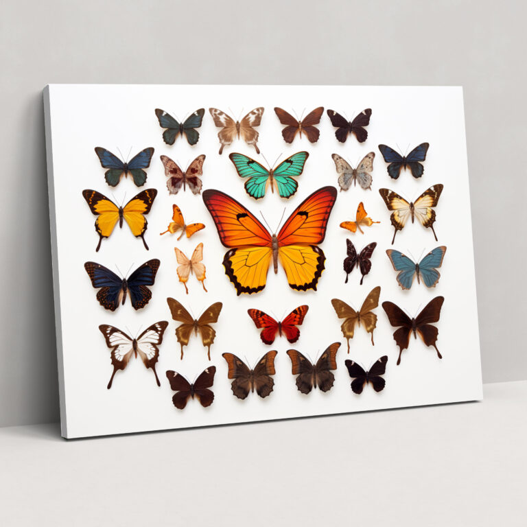 Dried Butterflies Photorealistic Collection Canvas Wall Art - Dried Butterflies, Home Decoration, Canvas, Dried Butterflies Photorealistic Collection