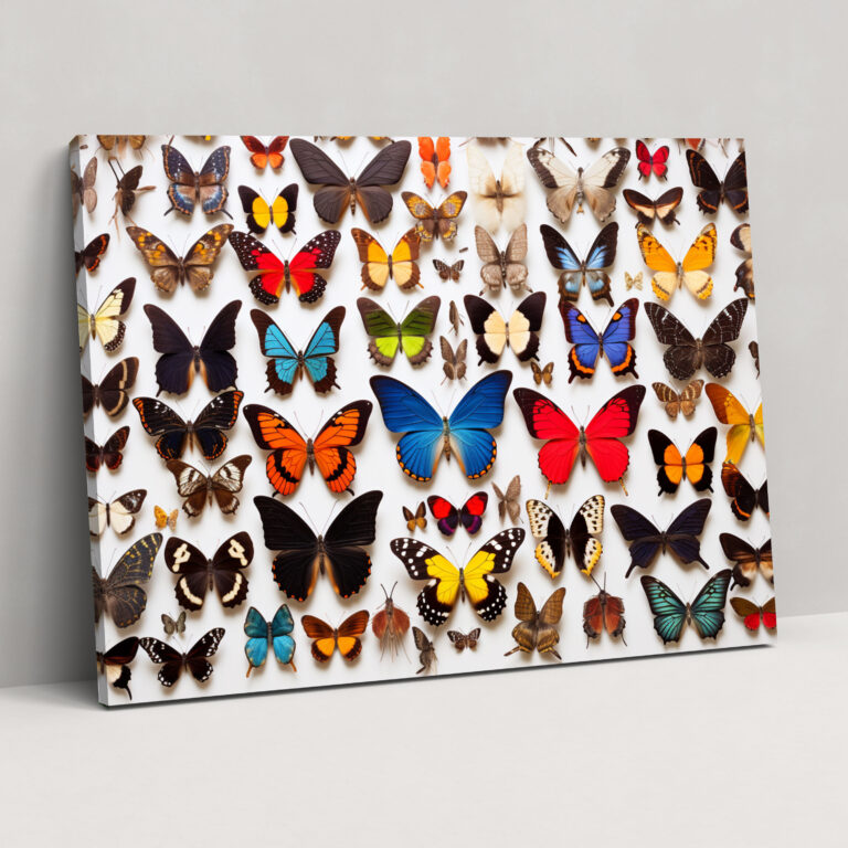 Dried Butterflies Photorealistic Collection Wall Art - Dried Butterflies, Butterfly Decor, Nature-Inspired Art, Home Decoration