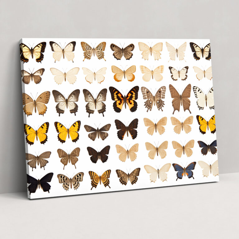 Dried Butterflies Photorealistic Collection Wall Decoration - Dried Butterflies, Wall Decoration, Butterflies, Delicate Beauty
