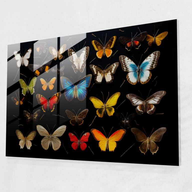 Dried Butterflies Glass Wall Art - Vibrant Symmetry - Dried Butterflies, Glass Art, Home Decoration, Modern Art