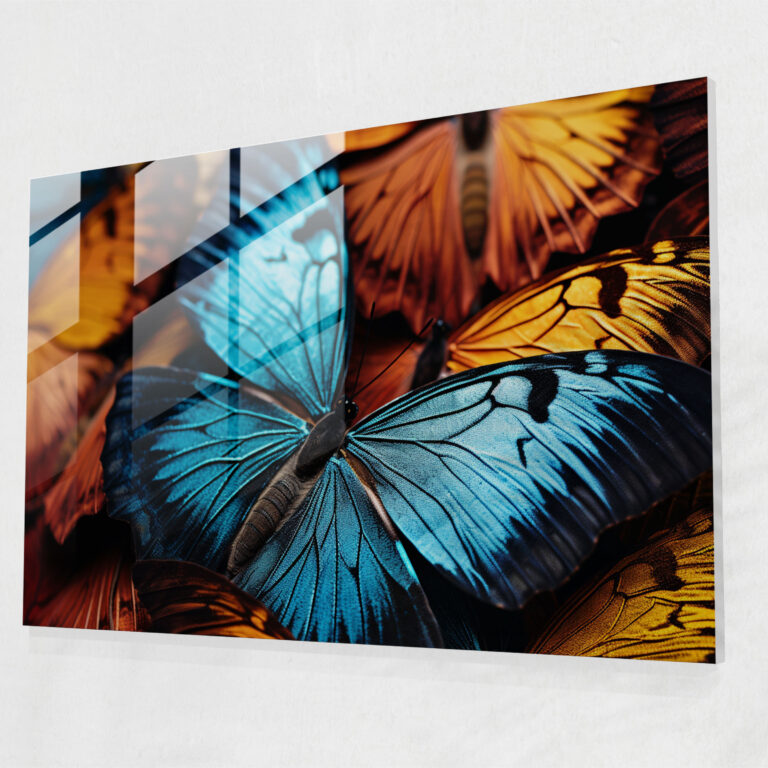 Dried Butterflies Glass Print - Dried Butterflies, Wall Decoration, Home Decoration, Elegance