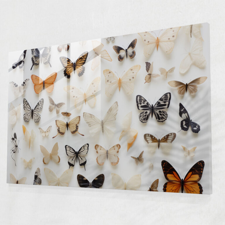 Dried Butterflies Glass Wall Art - Dried Butterflies, Elegance, Preserved Butterflies, Glass Print
