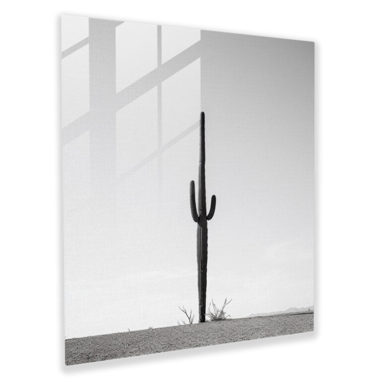 Solitary Cactus Glass Print - Desert, Desert Landscape, Glass Wall Art, Wall Decoration