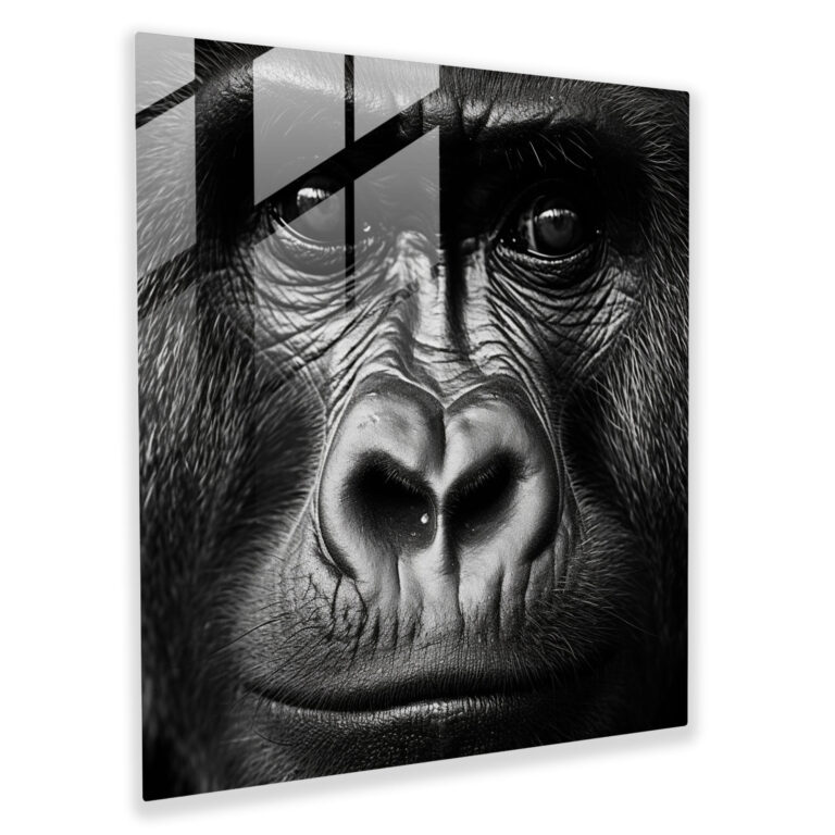 Gorilla Glass Wall Art - Gorilla, Gorilla, Close-Up, Black And White Photograph