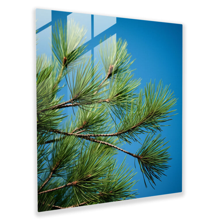 Vibrant Pine Needles Glass Print - Green Pine, Green Pine, Glass Art, Glass Wall Art