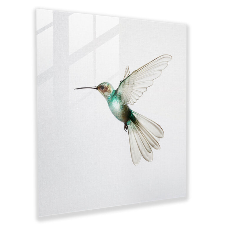 Minimalist Hummingbird Glass Print - Hummingbird, Wall Decoration, Glass Art, Hummingbird
