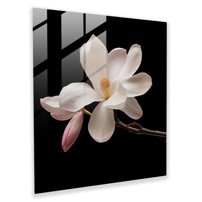 Magnolia Minimalism Glass Print - Magnolia, Close-Up Shot, Home Decoration, Glass Wall Art