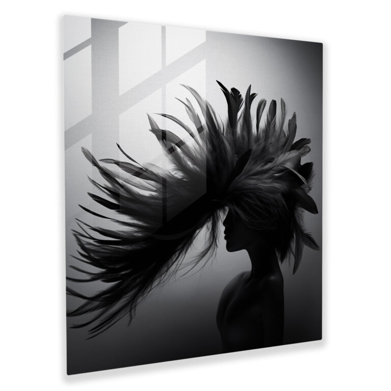 Red Indian Feathers Glass Print - Red Indian, Wall Decoration, Glass Art, Modern Art