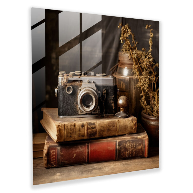 Rustic Vintage Camera Glass Print - Rustic, Glass Art, Modern Art, Rustic Antiques