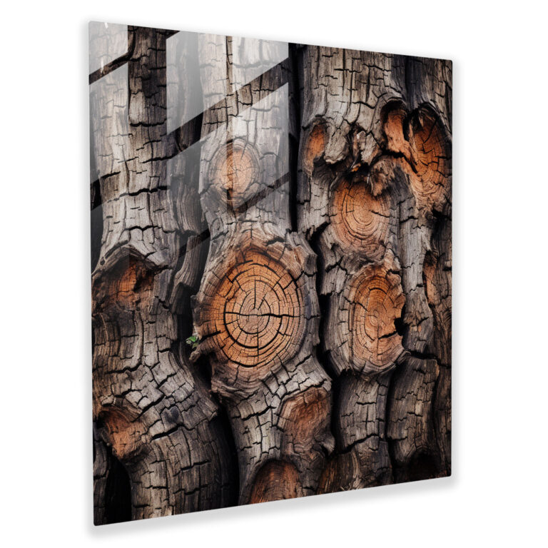 Textured Tree Of Life Glass Print - Tree Of Life, Glass Wall Art, Photography, Glass Print