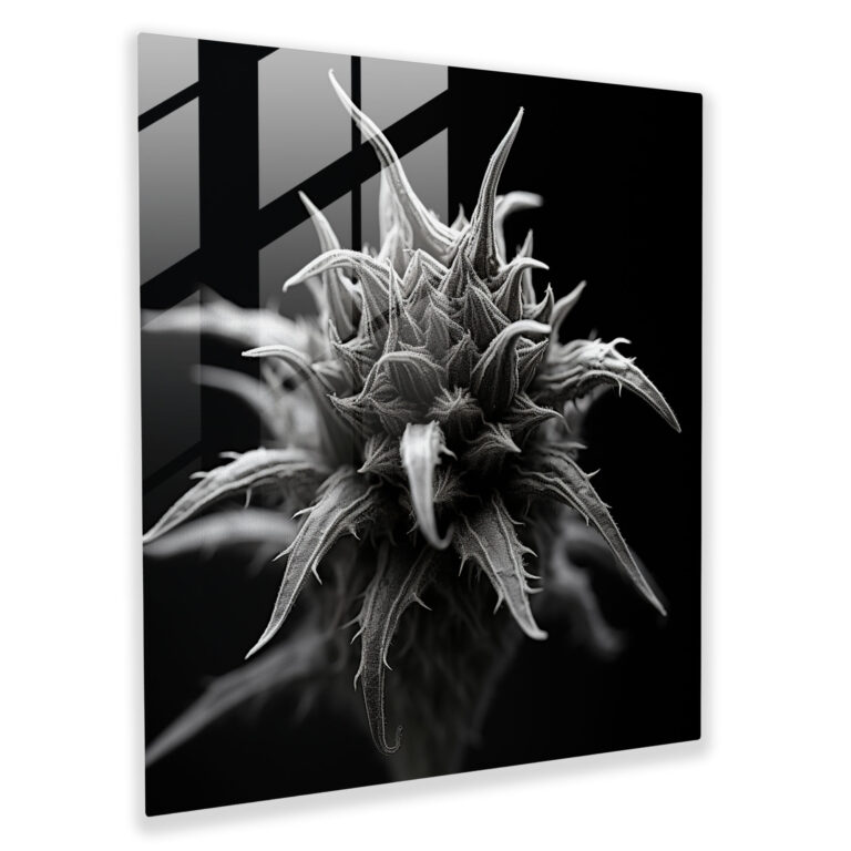 Weed Essence - Glass Print - Weed, Modern Art, Glass Wall Art, Weed