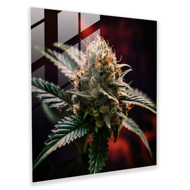 Realistic Weed Bud Glass Print - Weed, Glass Wall Art, Modern Art, Home Decoration