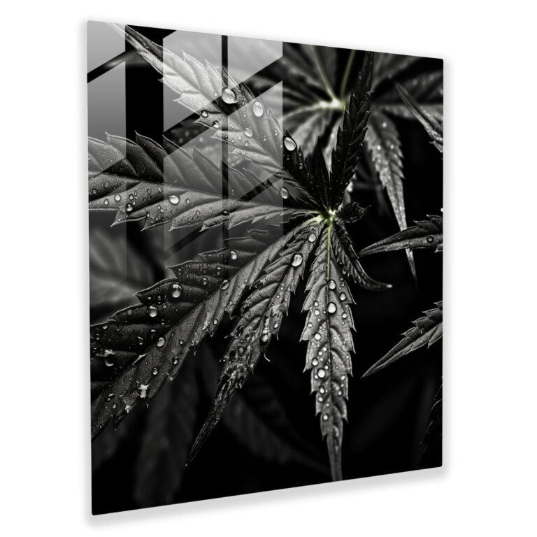 Weed Elegance Glass Print - Weed, Modern Art, Glass Art, Minimalist Photography