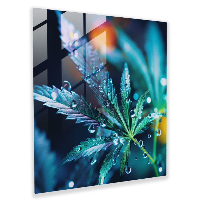 Reflective Drops Glass Print - Weed, Droplets Of Water, Wall Decoration, Reflecting Light