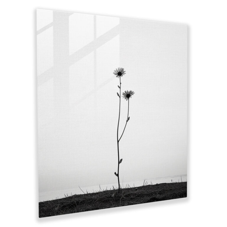 Wildflower's Resilience Glass Print - Wildflower, Modern Art, Home Decoration, Glass Wall Art