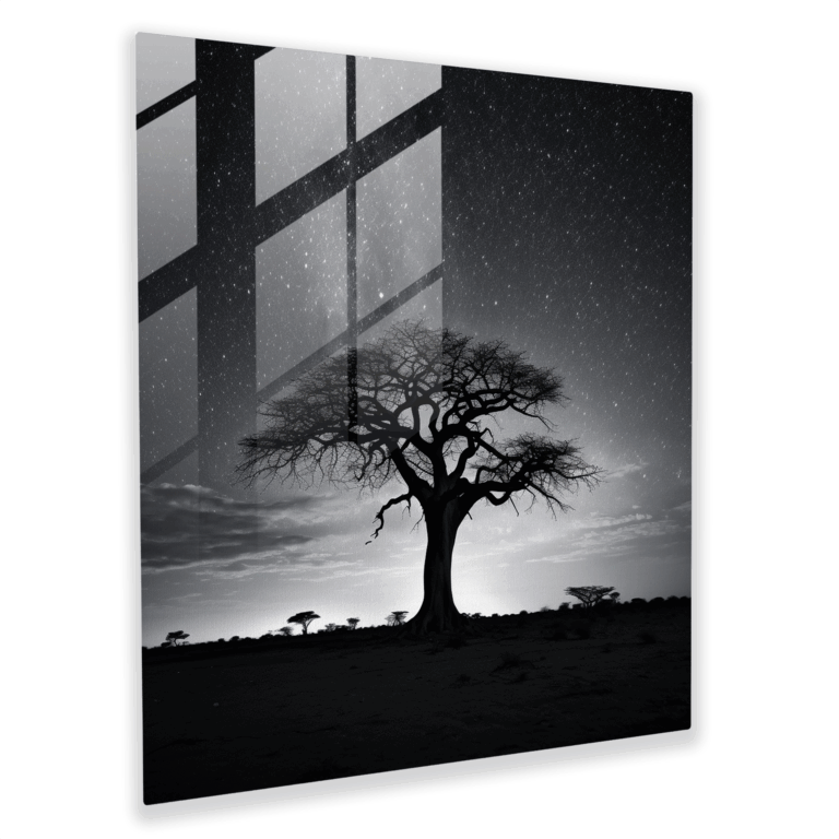 Büyüleyici Baobab Cam Tablo - Minimalist Siyah Beyaz Fotoğraf Cam Duvar Sanatı Ev Dekorasyonu için